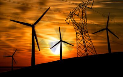 Energy Efficient Products for a Greener Home