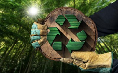 How to Implement Renewable Energy Solutions in Your Home and Business